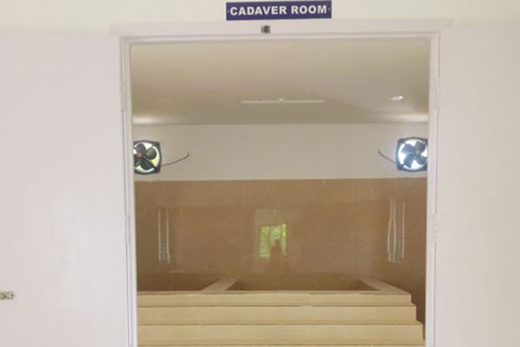 yoga-mother-terasa-kalvi_vision