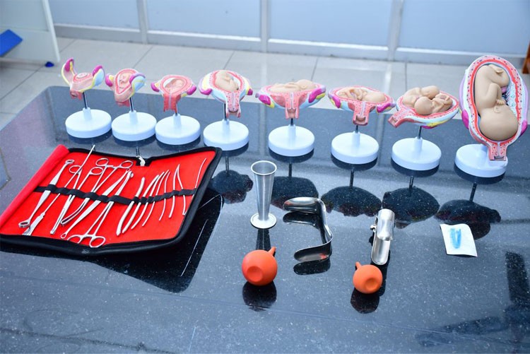 yoga-mother-terasa-kalvi_vision