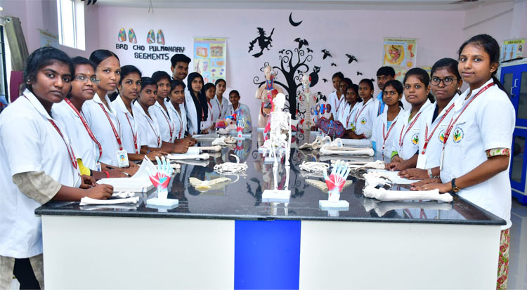 yoga-mother-terasa-kalvi_courses_offered