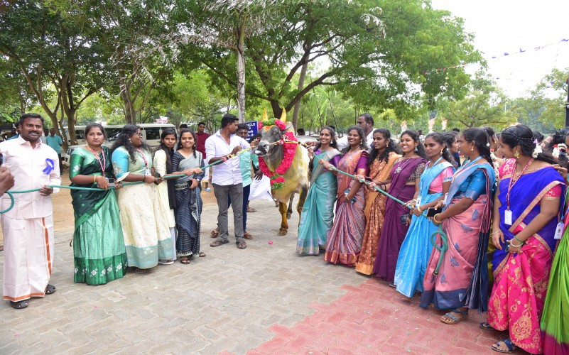 Pongal Celebrations 2026