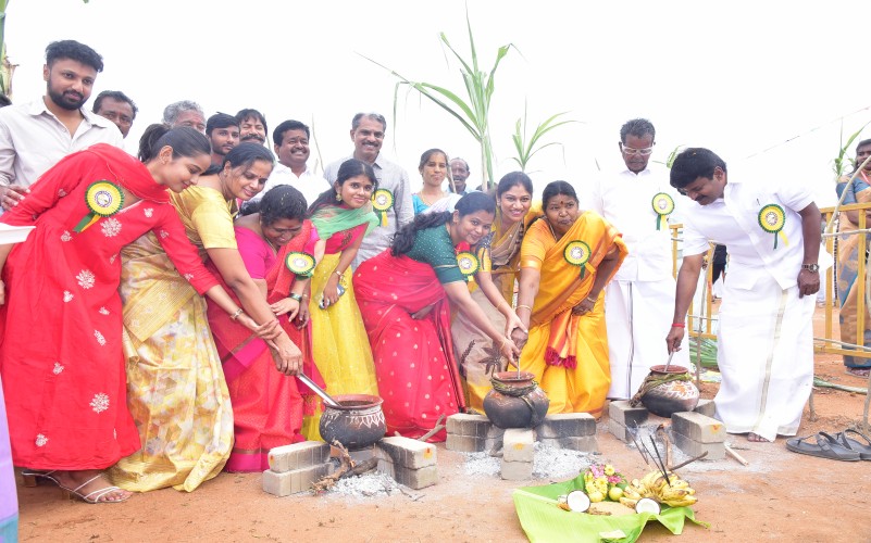 Pongal Celebrations 2026