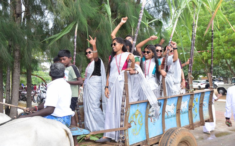 Pongal Celebrations 2026